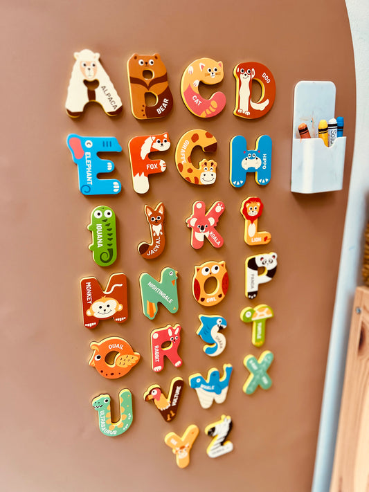 Alphabet & Number Magnet Set